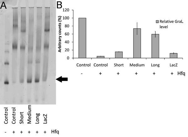 Fig4.tif