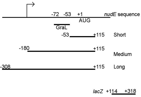 Fig2.tif