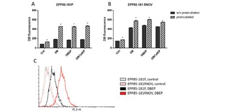 Fig 10.tif