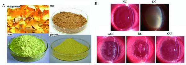 fig.1.tif