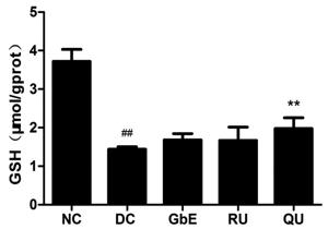 fig.2.tif