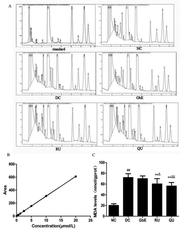 fig.3.tif