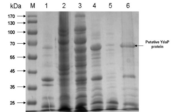 1499 Figure 3.tiff