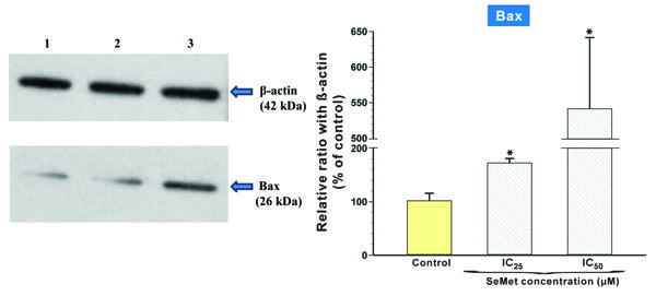 Fig.9.tif