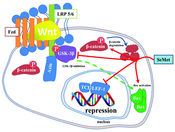 Fig.10.tif