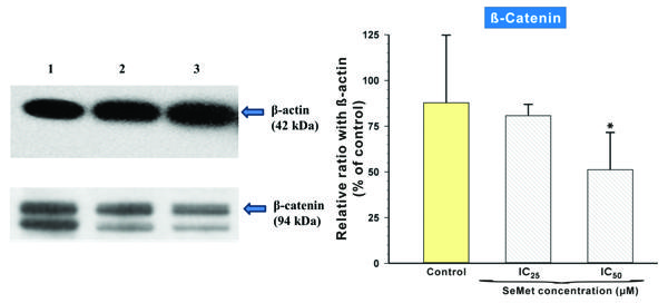 Fig.4.tif