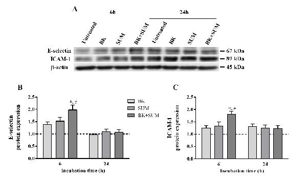 Figure 4.tif